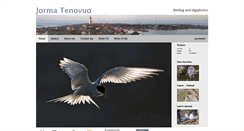 Desktop Screenshot of jtenovuo.com